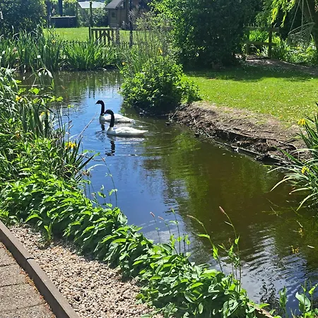 Saense 4* Assendelft