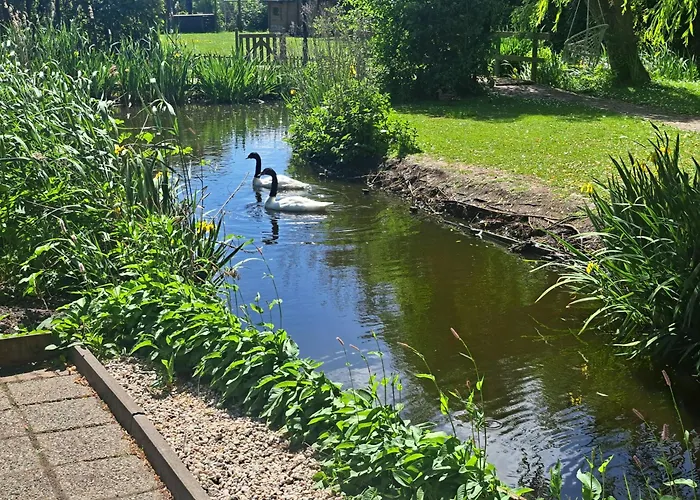 Saense 4* Assendelft