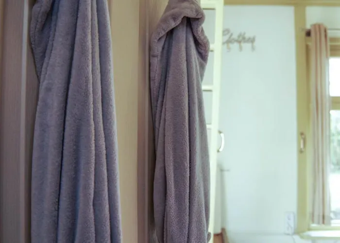 Saense 4* 어센더프트