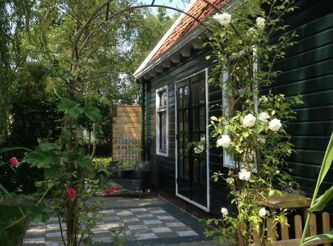 Saense 어센더프트